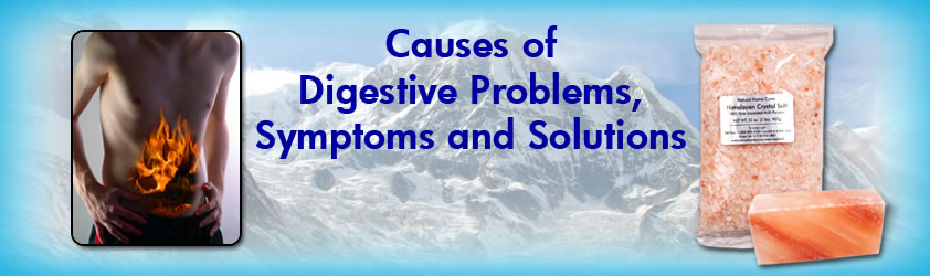 Natural Home Cures Himalayan Crystal Salt - Causes of Digestive Problems, Symptoms and Solutions